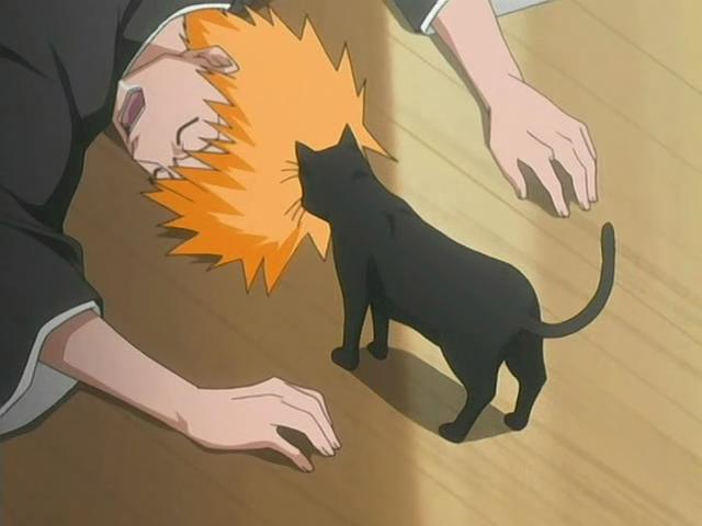 Otaku Gallery  / Anime e Manga / Bleach / Screen Shots / Episodi / 025 - Sfondare al centro con un enorme proiettile / 023.jpg